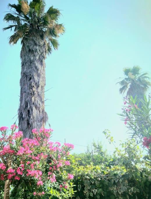 Hotel La Casetta Colorata Katania Zewnętrze zdjęcie